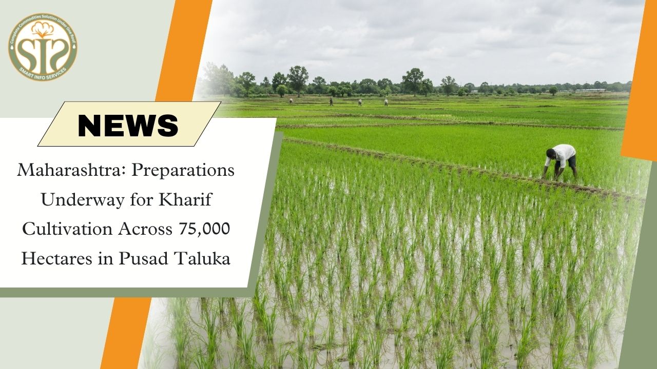 Maharashtra: Preparations Underway for Kharif Sowing Across 75,000 Hectares in Pusad