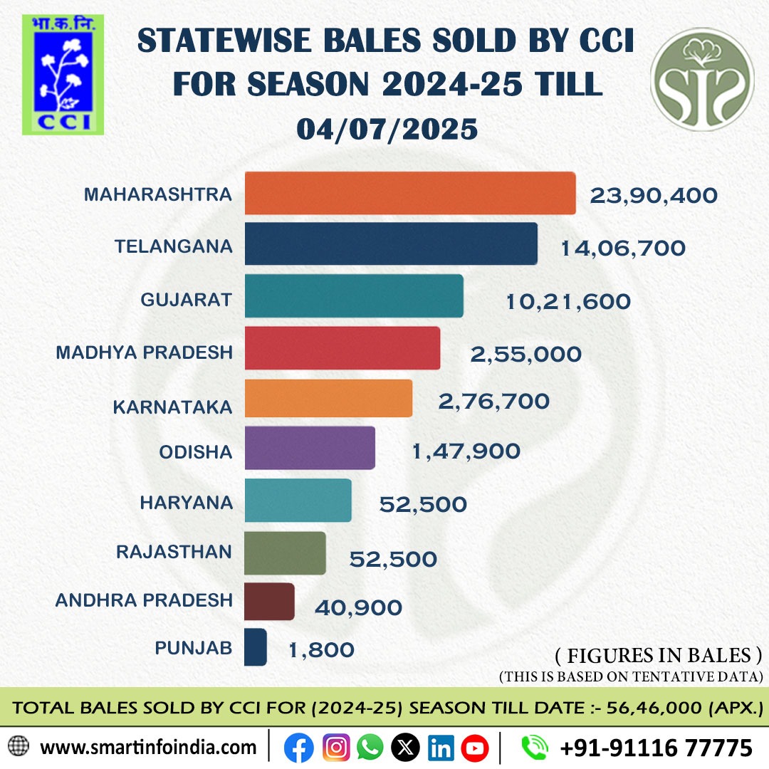 सीसीआई कॉटन बिक्री रिपोर्ट: 2024–25 सीज़न अपडेट