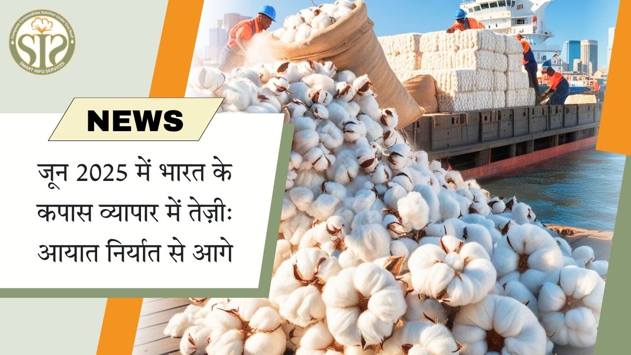 जून 2025 में भारत के कपास व्यापार में तेज़ी: आयात निर्यात से आगे