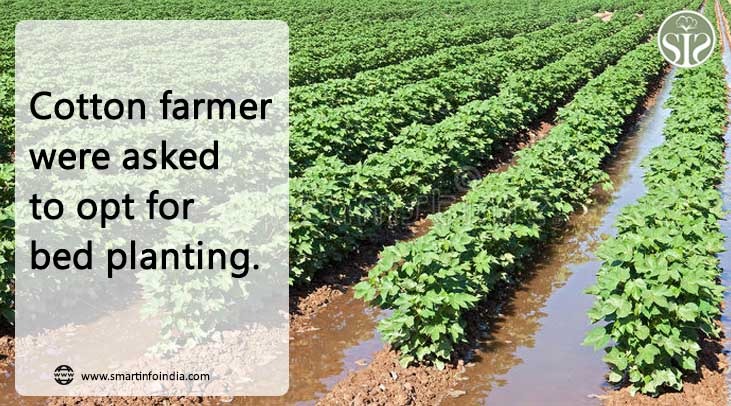 Cotton farmers were asked to opt for bed planting.
