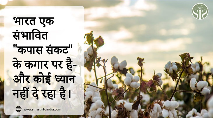 India is on the verge of a potential "cotton crisis"—and no one is paying attention.