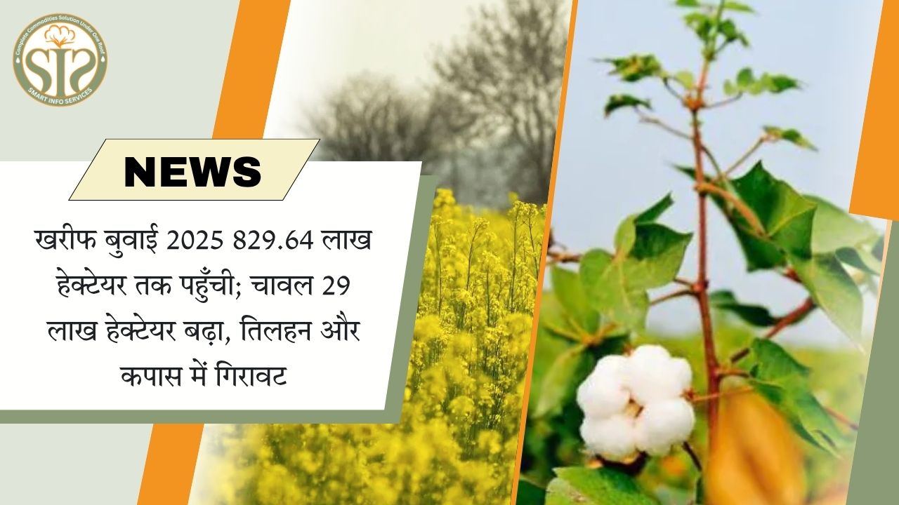 खरीफ बुवाई 2025 829.64 लाख हेक्टेयर तक पहुँची; चावल 29 लाख हेक्टेयर बढ़ा, तिलहन और कपास में गिरावट