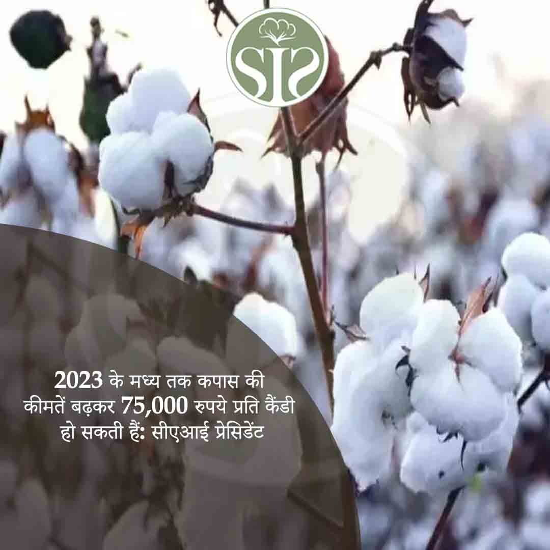 Cotton prices may rise to Rs 75,000 per candy by mid-2023: CAI President