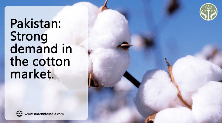 Pakistan: Strong trend in cotton market.