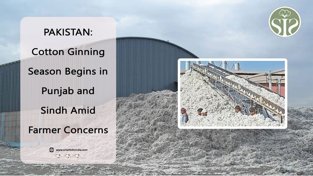 PAKISTAN:  Cotton Ginning Season Begins in Punjab and Sindh Amid Farmer Concerns