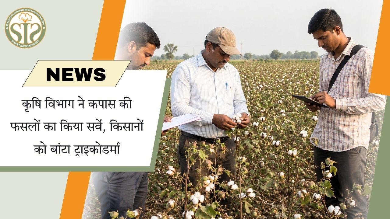 सूरजगढ़ में कपास फसल सर्वे
