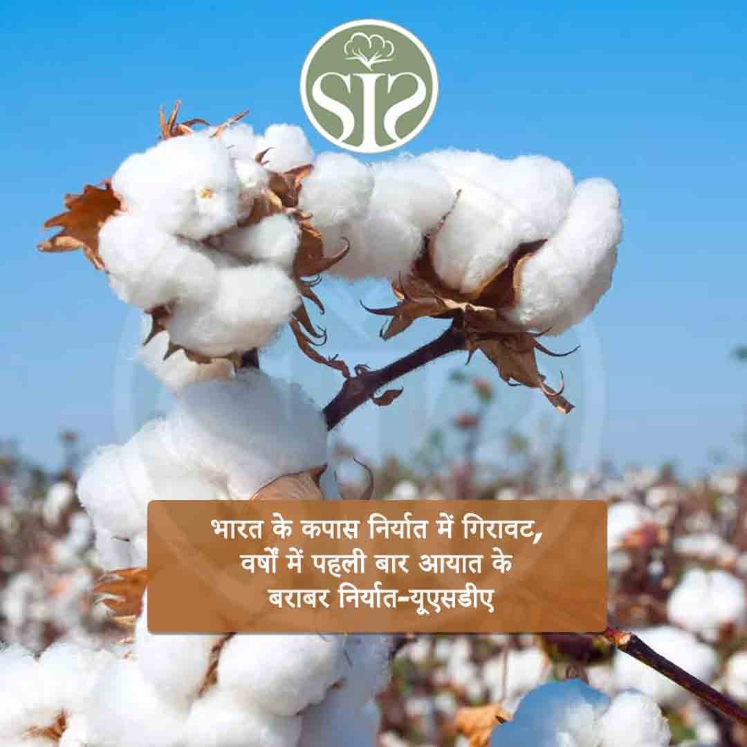 India's cotton exports fall, exports equal to imports for the first time in years: USDA