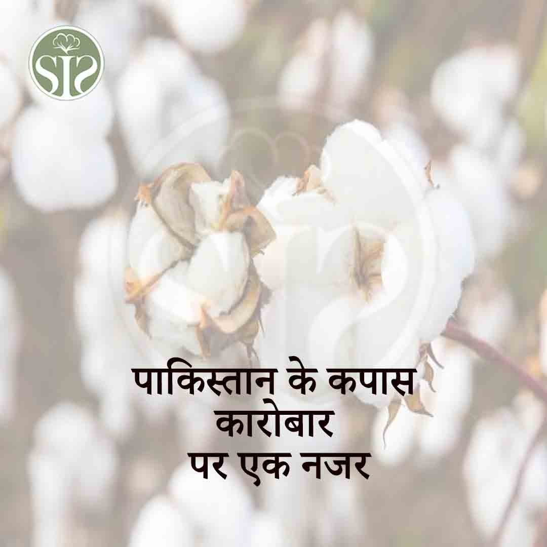 A looks at Pakistan's cotton business