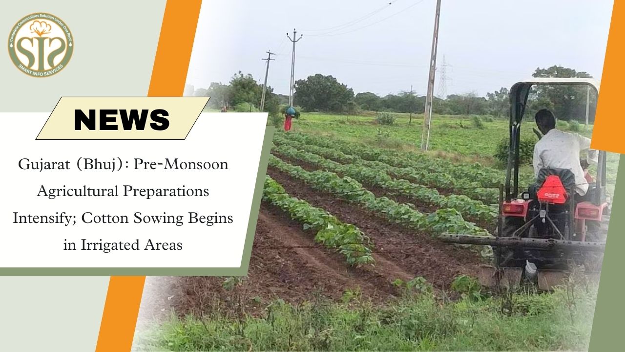 Cotton Sowing Begins in Kutch Ahead of Monsoon