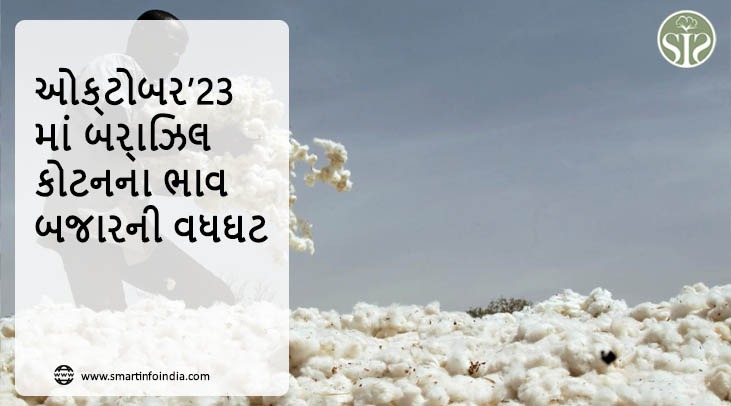 ઓક્ટોબર’23માં બ્રાઝિલ કોટનના ભાવ બજારની વધઘટ