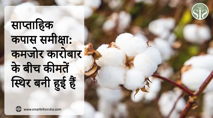 Weekly Cotton Review: Prices remain steady amid weak business