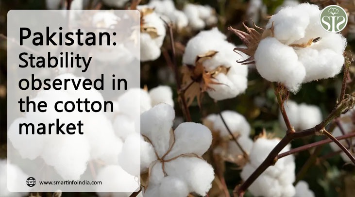 *Pakistan: Stable trend in cotton market*