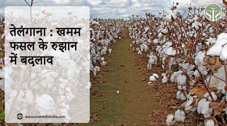 तेलंगाना : खमम फसल के रुझान में बदलाव