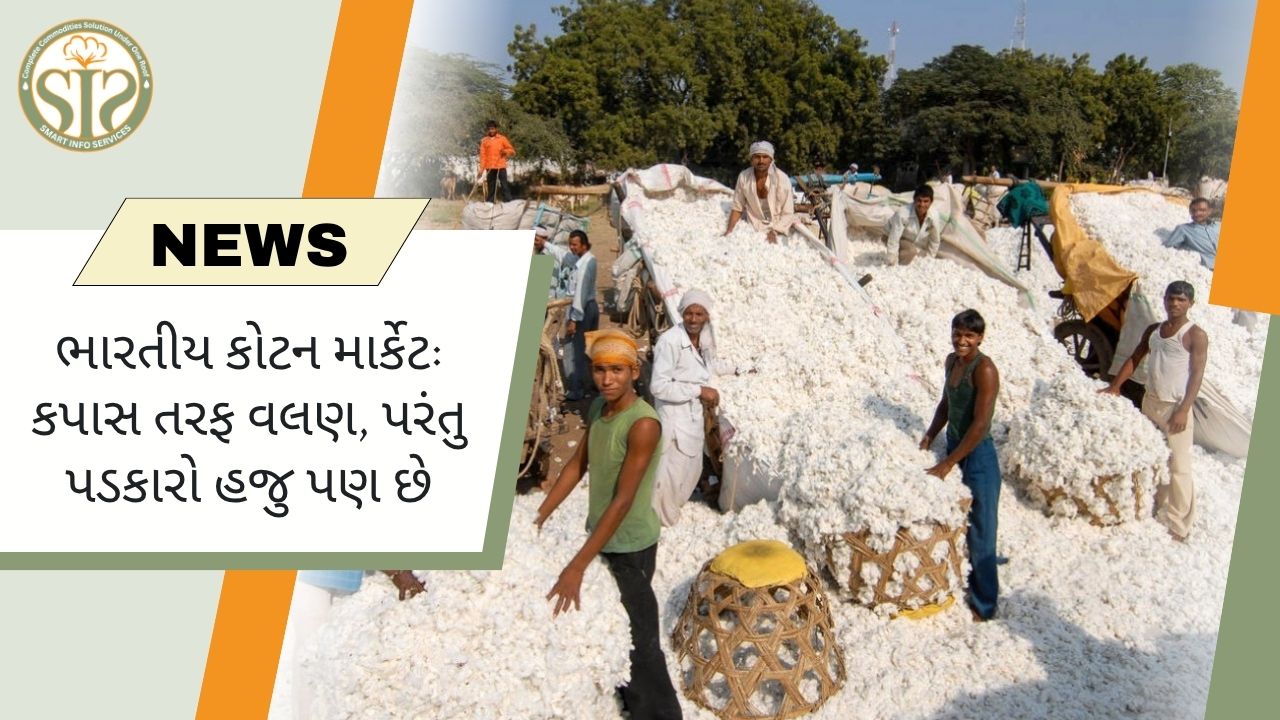 ભારતમાં કોટન માર્કેટ: ટ્રેન્ડ વધ્યો, પડકારો યથાવત