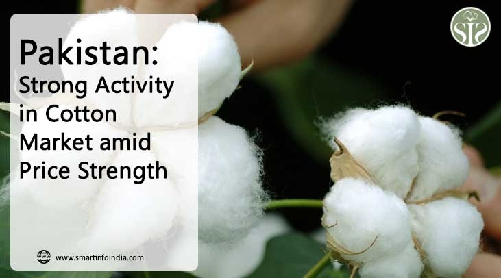 Pakistan: Prices firm up amid brisk activity in cotton market