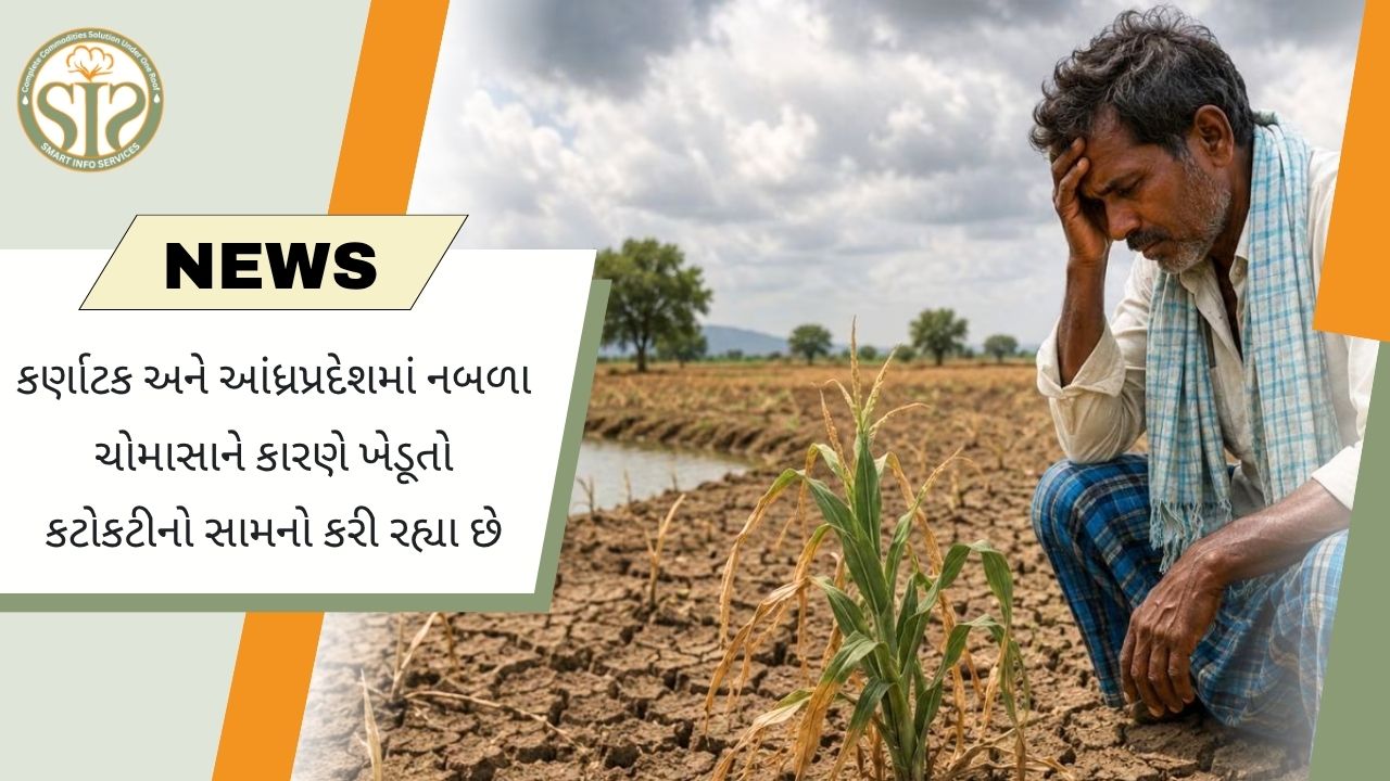 નબળા ચોમાસાથી કર્ણાટક અને આંધ્રપ્રદેશના ખેડૂતો સંકટમાં, પાક નુકસાનથી સ્થળાંતર વધ્યું