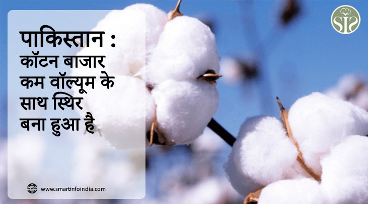 पाकिस्तान : कॉटन बाजार कम वॉल्यूम के साथ स्थिर बना हुआ है.