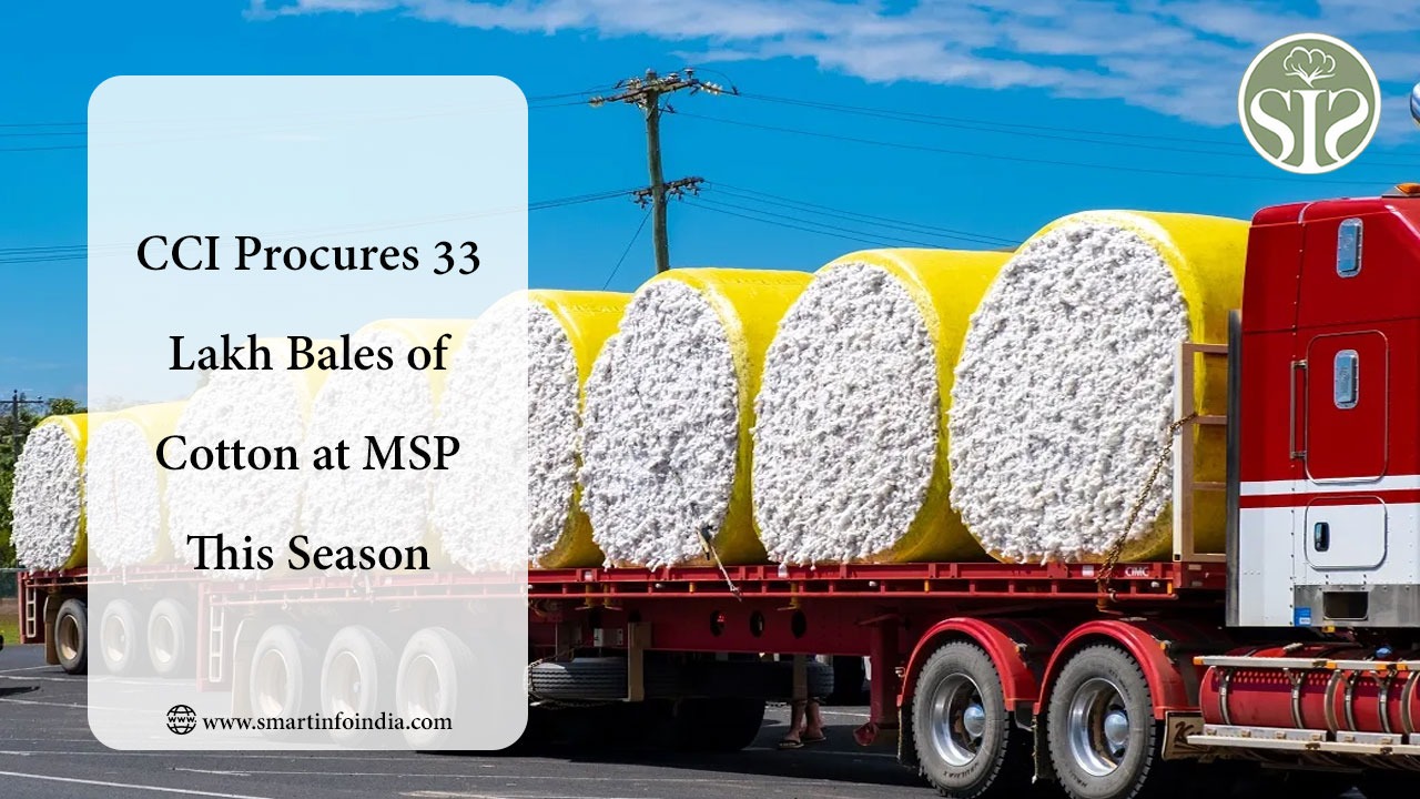 CCI Procures 33 Lakh Bales of Cotton at MSP This Season