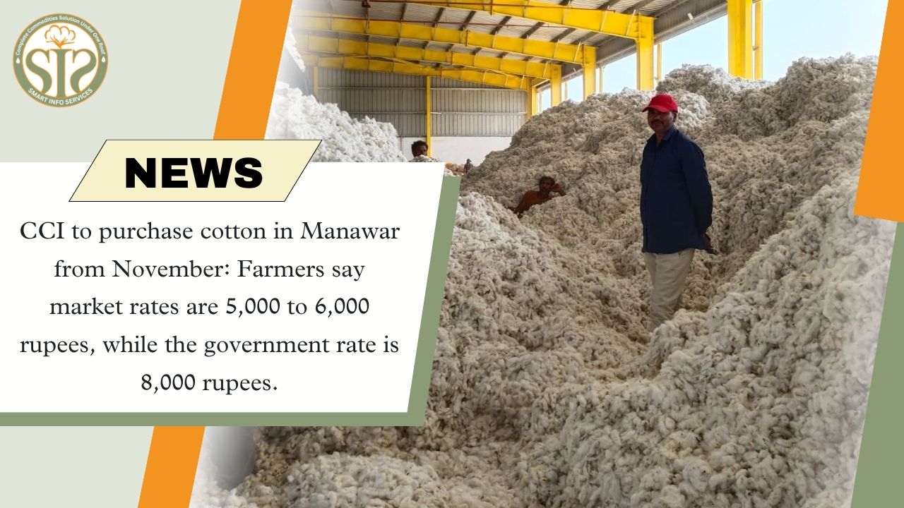 CCI to procure cotton in Manawar from November