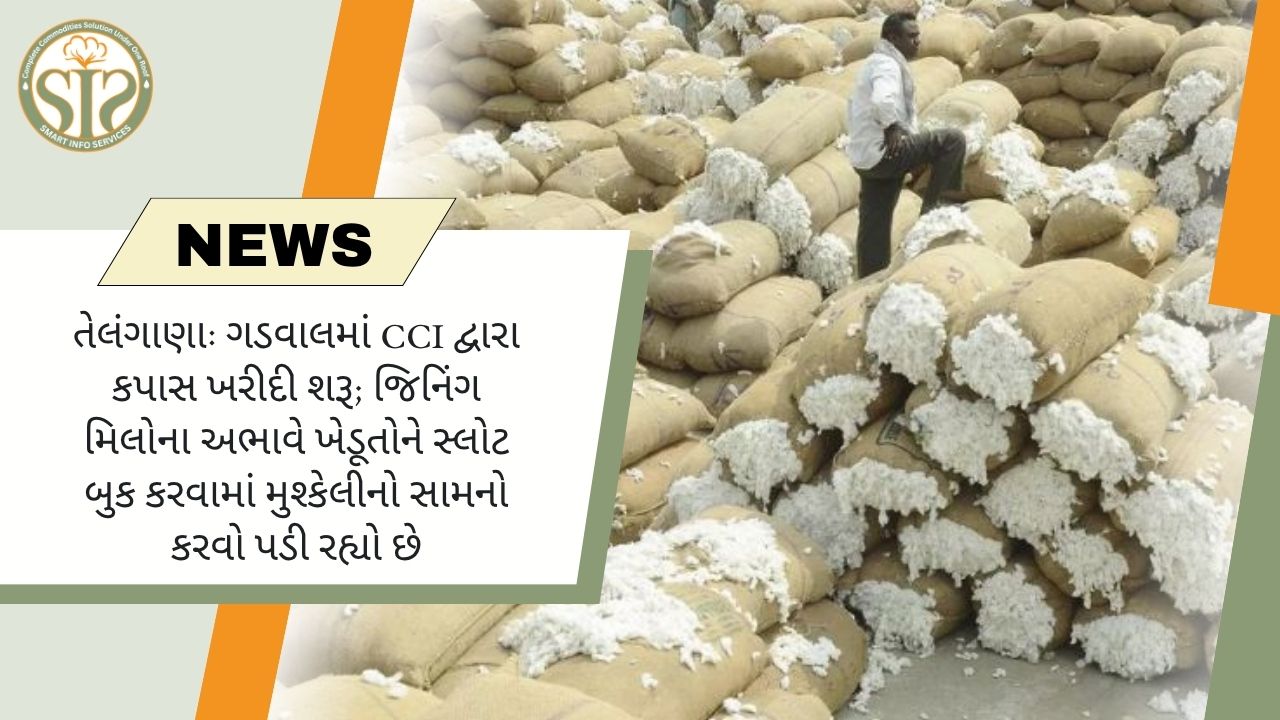 CCI એ ગડવાલમાં કપાસની ખરીદી શરૂ કરી, સ્લોટ બુકિંગમાં સમસ્યાઓ