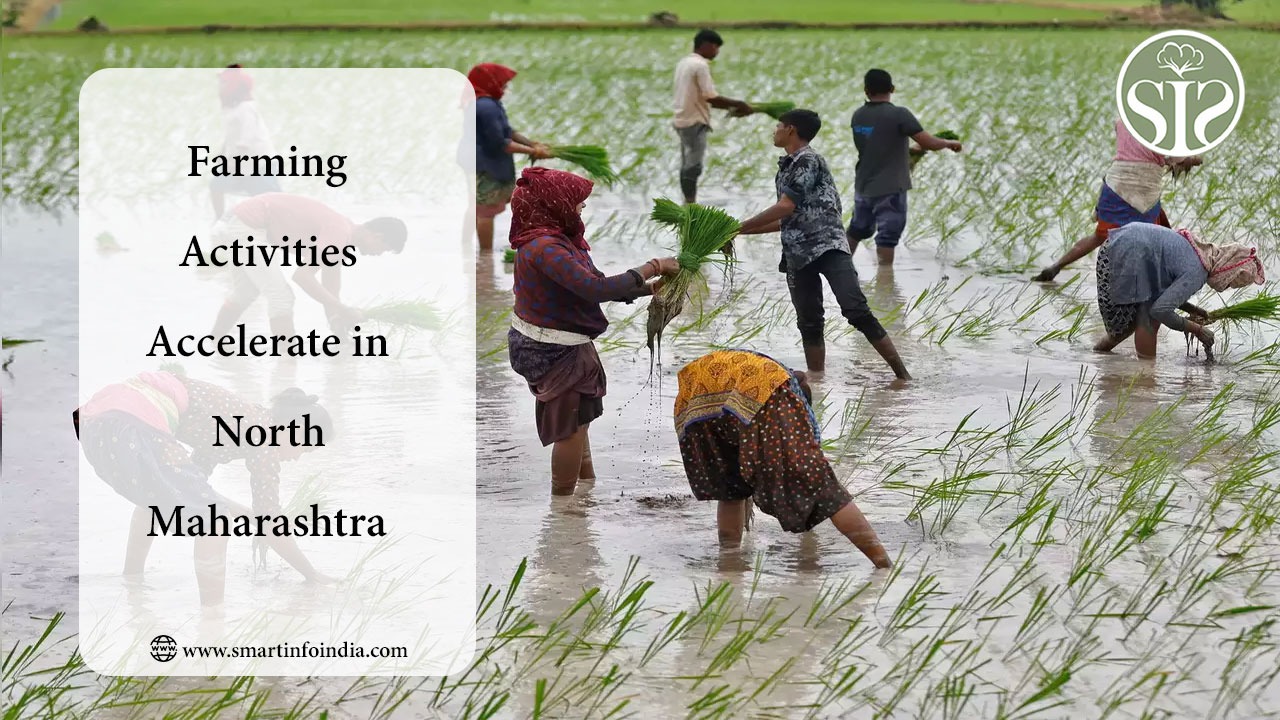 Farming Activities Accelerate in North Maharashtra