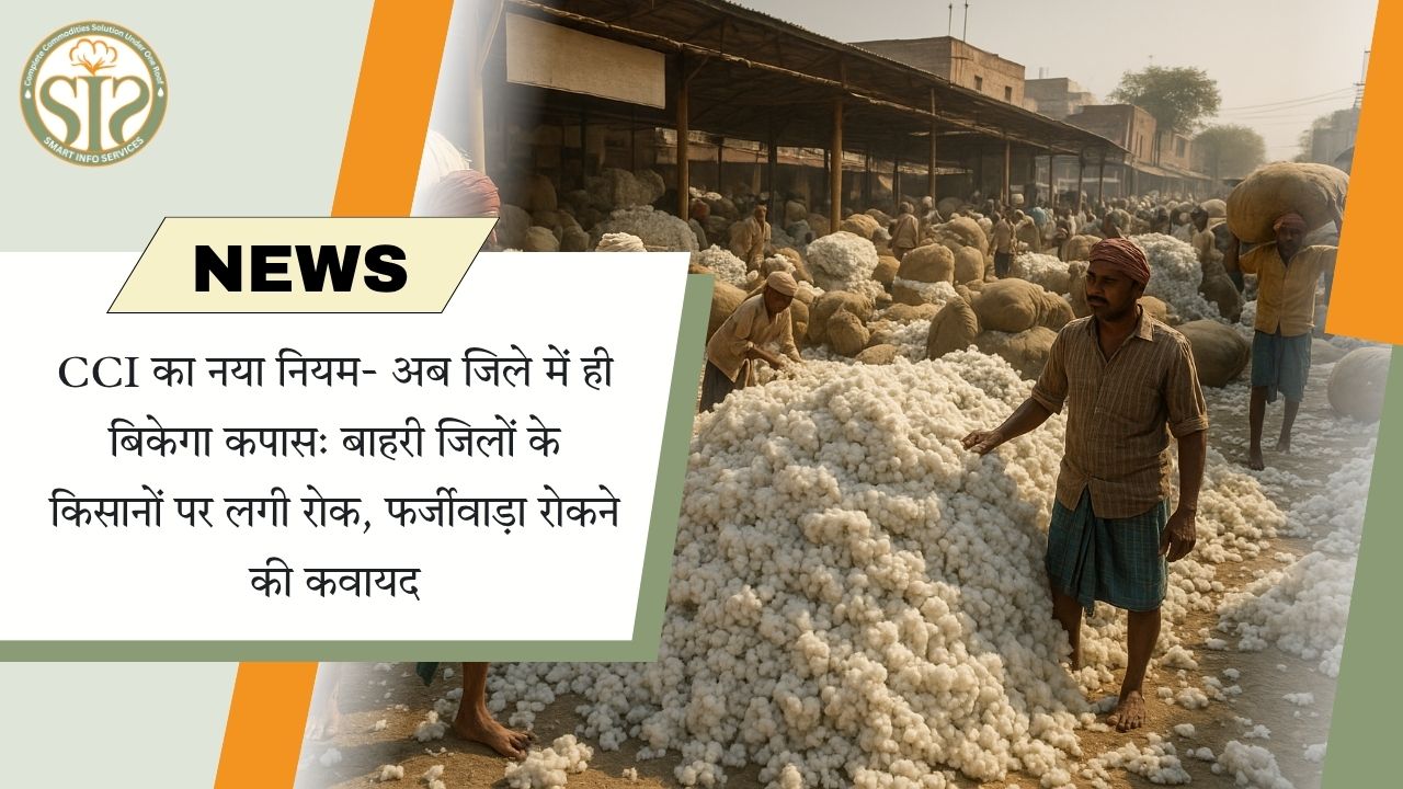 "CCI का नया नियम: अब कपास सिर्फ जिले में ही बिकेगा"