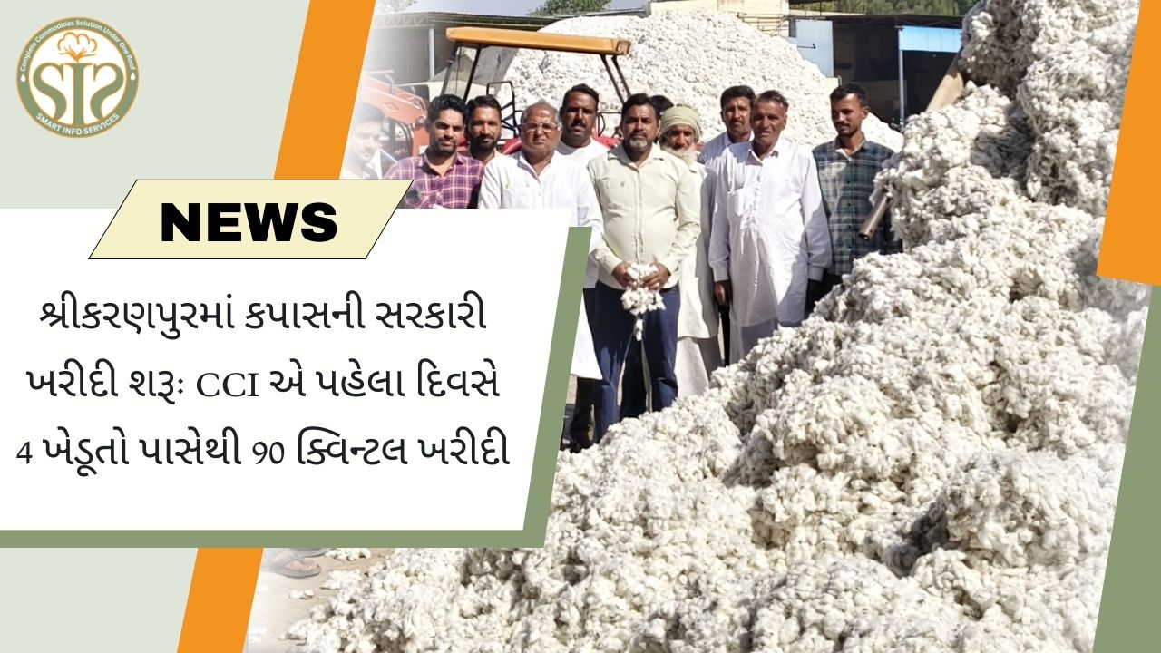 શ્રીકરણપુરમાં કપાસની ખરીદી શરૂ, 90 ક્વિન્ટલ ઉપાડ