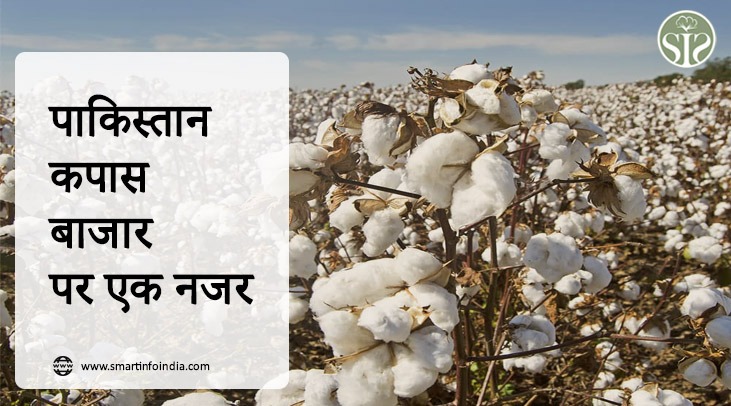 A look at the Pakistan cotton market