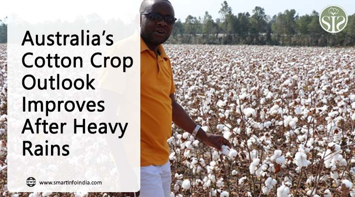 Australia’s Cotton Crop Outlook Improves After Heavy Rains