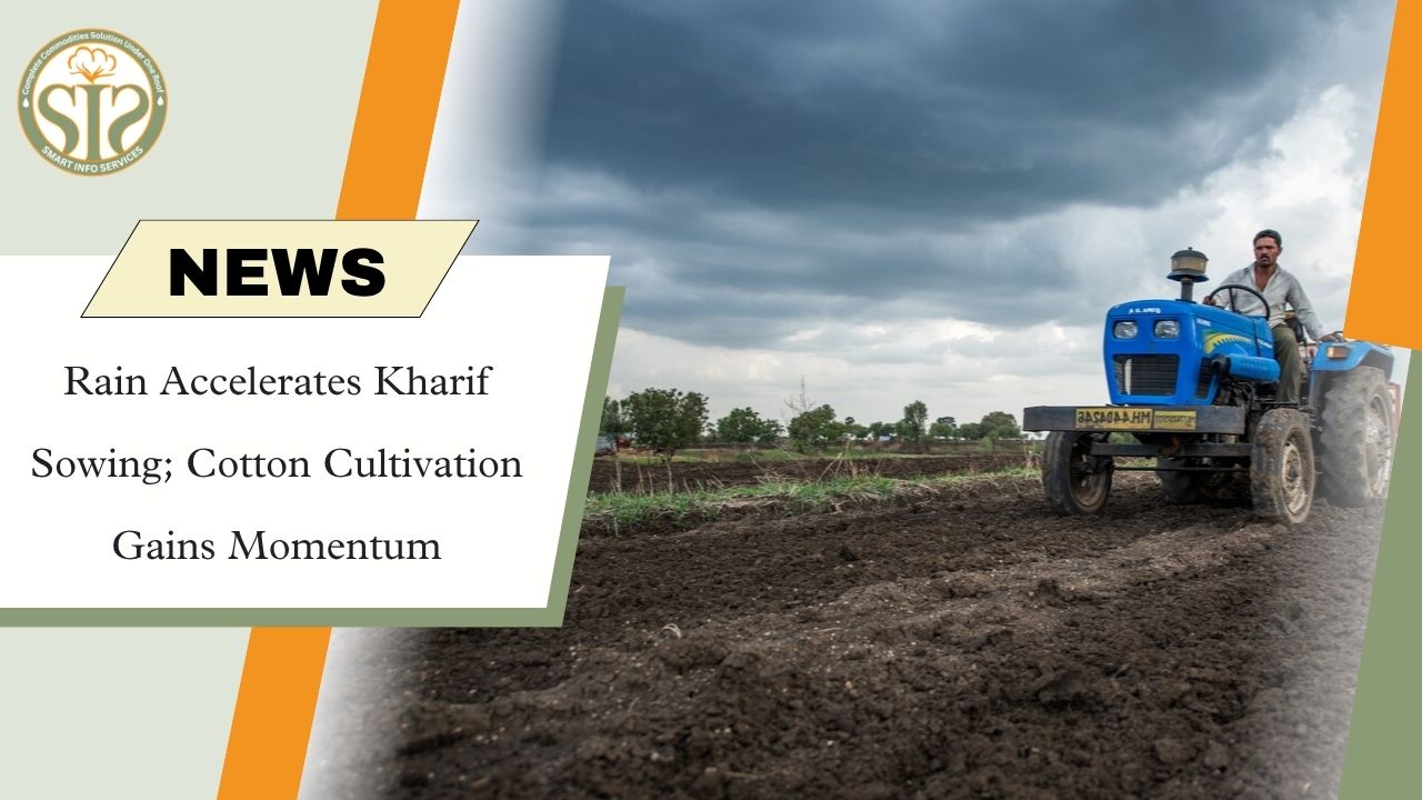 Rain Boosts Kharif Sowing in Amravati