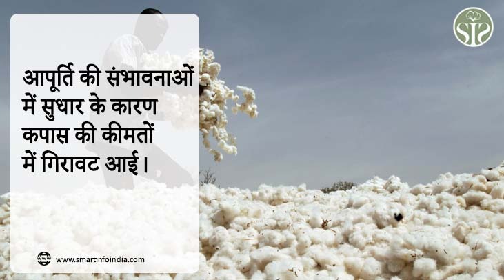 आपूर्ति की संभावनाओं में सुधार के कारण कपास की कीमतों में गिरावट आई।