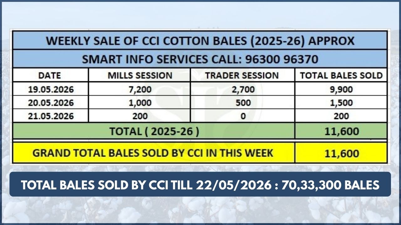 CCI Cuts Cotton Prices by ₹700; Weekly Auction Sales Cross 11,600 Bales