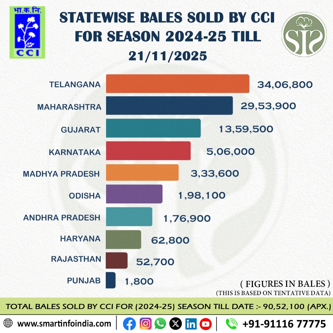 "2024-25: State-wise CCI Cotton Sales"