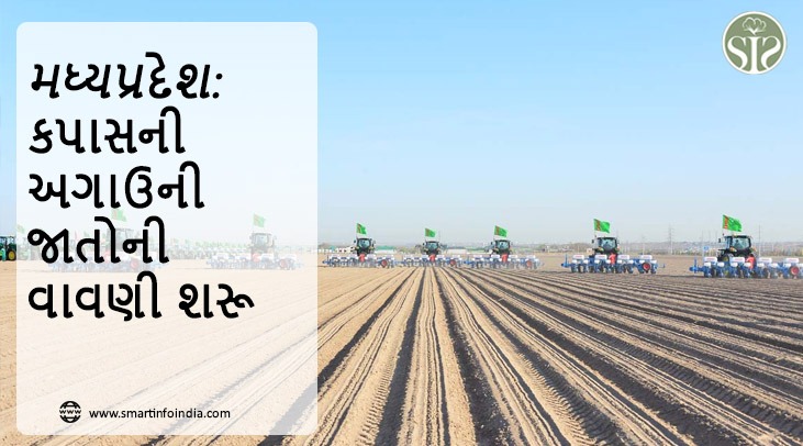 મધ્યપ્રદેશ: કપાસની અગાઉની જાતોની વાવણી શરૂ થાય છે