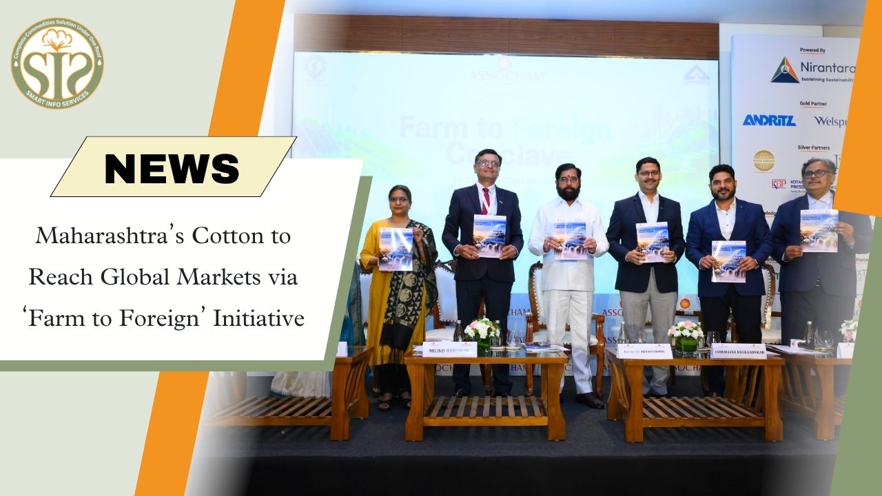 Maharashtra Cotton Targets Global Markets