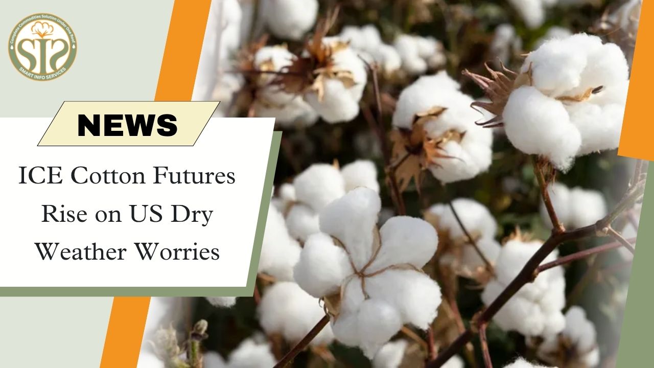 ICE Cotton Futures Climb on Concerns Over Dry US Weather Conditions
