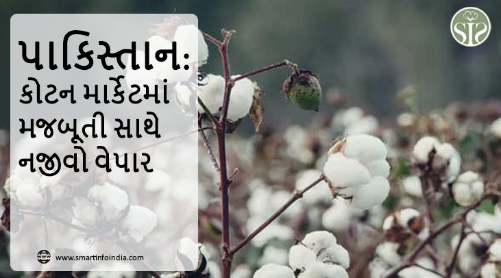 પાકિસ્તાન: કોટન માર્કેટમાં નજીવી ધાર સાથે મજબૂતી સાથે વેપાર થયો.