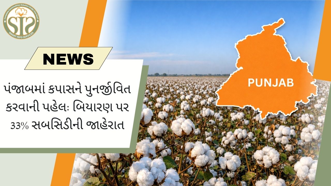 પંજાબમાં કપાસને પ્રોત્સાહન, બીજ પર 33% સબસિડી