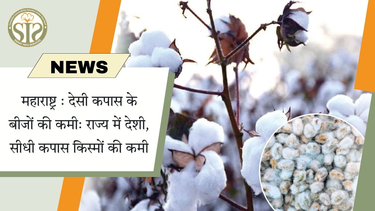 महाराष्ट्र में देसी कपास के बीजों की कमी