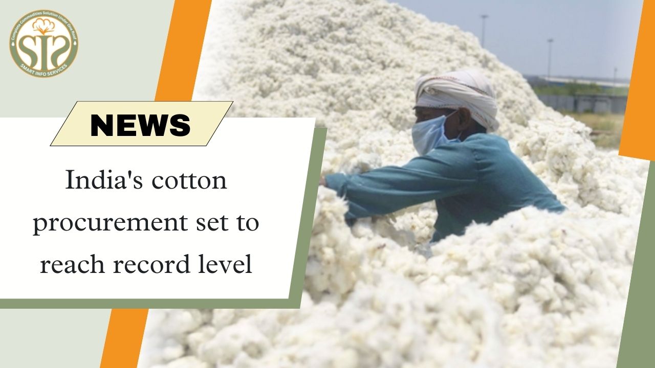 India's cotton procurement set to reach record level