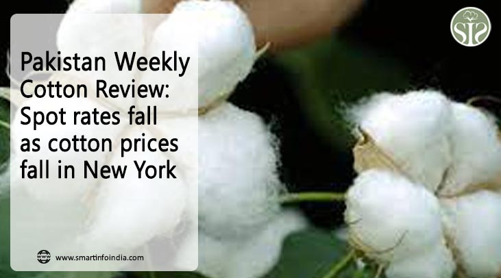 Pakistan: Minor business activities in cotton market