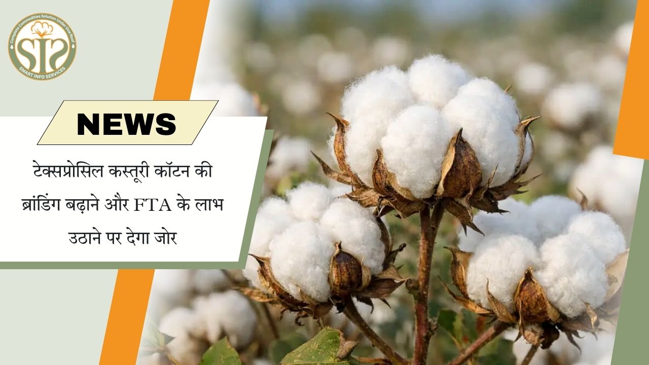 Texprocil का कस्तूरी कॉटन पर फोकस