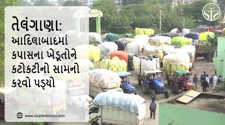 તેલંગાણા: આદિલાબાદમાં કપાસના ખેડૂતો પર સંકટ