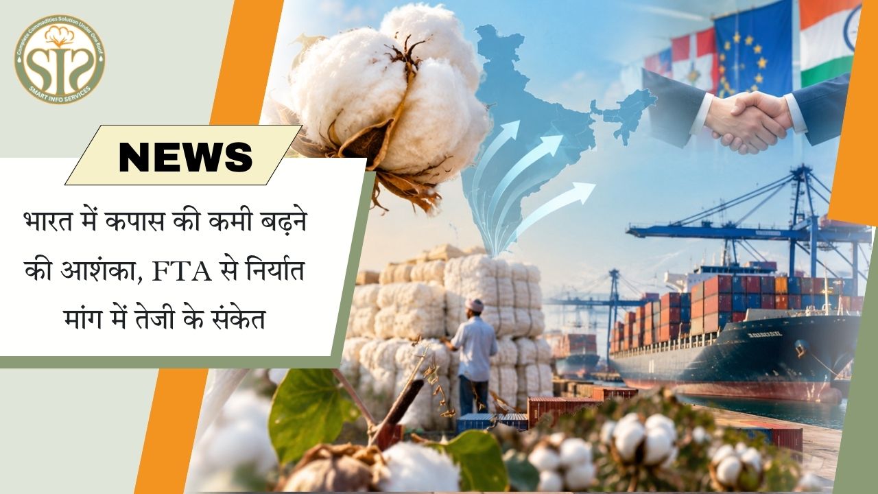 भारत में कपास की कमी का खतरा बढ़ा, FTA समझौतों से निर्यात मांग में तेजी के संकेत