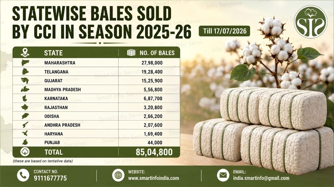 CCI Cotton Sales Reach 85.04 Lakh Bales in 2025-26 Season