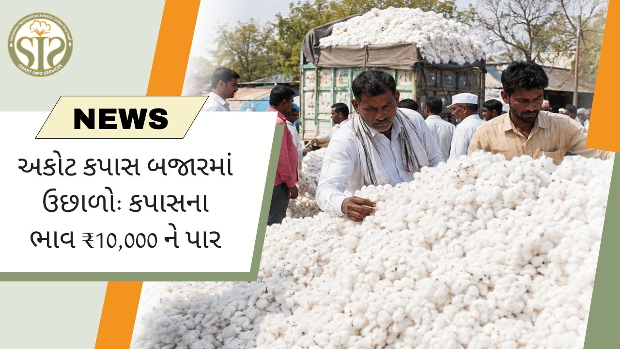 આકોટ કપાસ બજારમાં ઉછાળો: કપાસના ભાવ ₹10,000 ને પાર