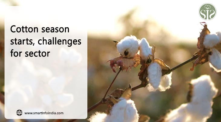 Cotton season begins, challenges for the sector
