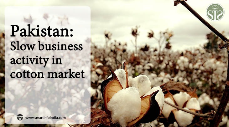 Pakistan: Slow business activity in cotton market