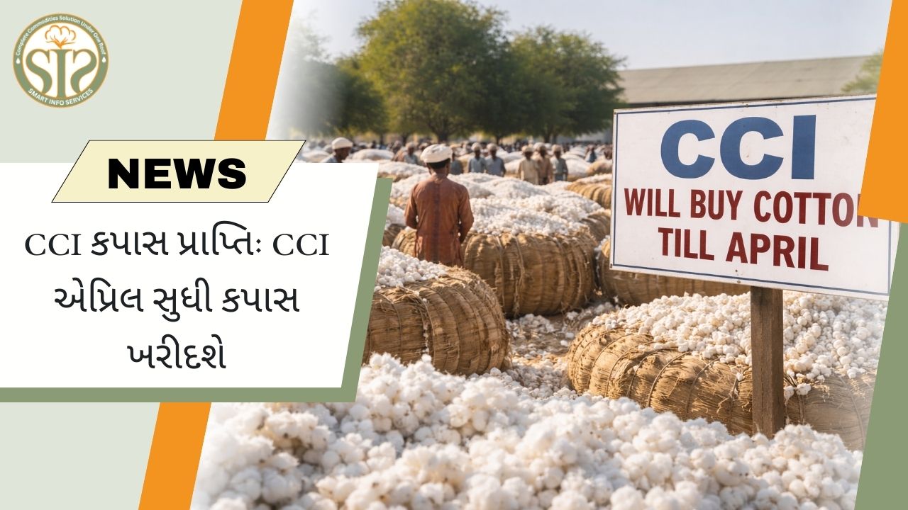 CCI એપ્રિલ સુધી કપાસની સરકારી ખરીદી ચાલુ રાખશે