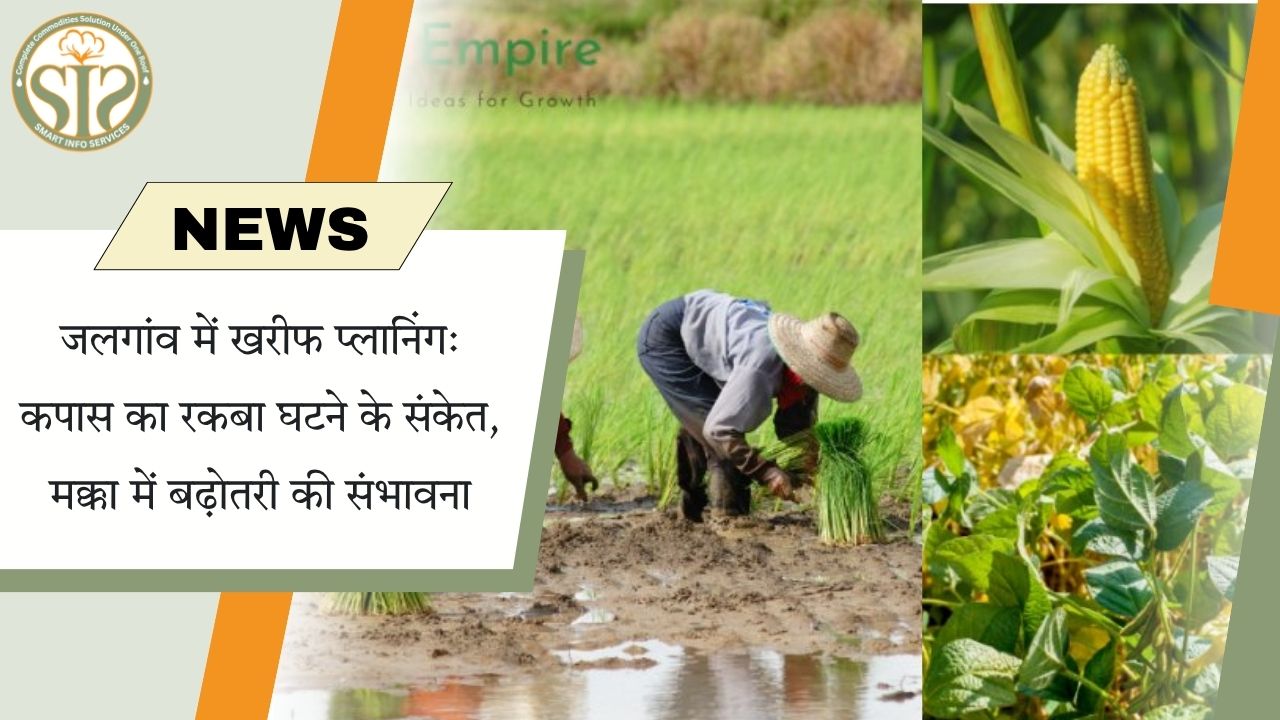 खरीफ प्लान: कपास में गिरावट, मक्का में तेजी